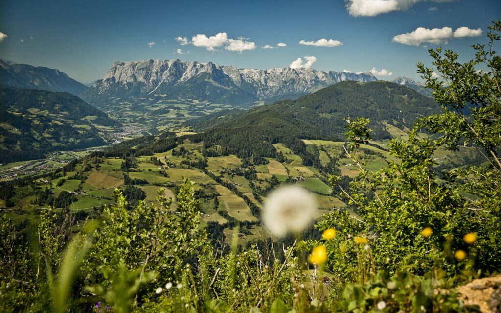 Radfahren im Sommer-Urlaub