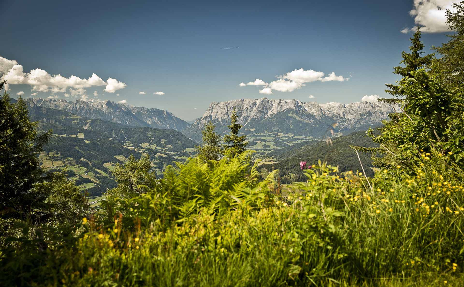 Alpendorf Bergpanorama im Sommer