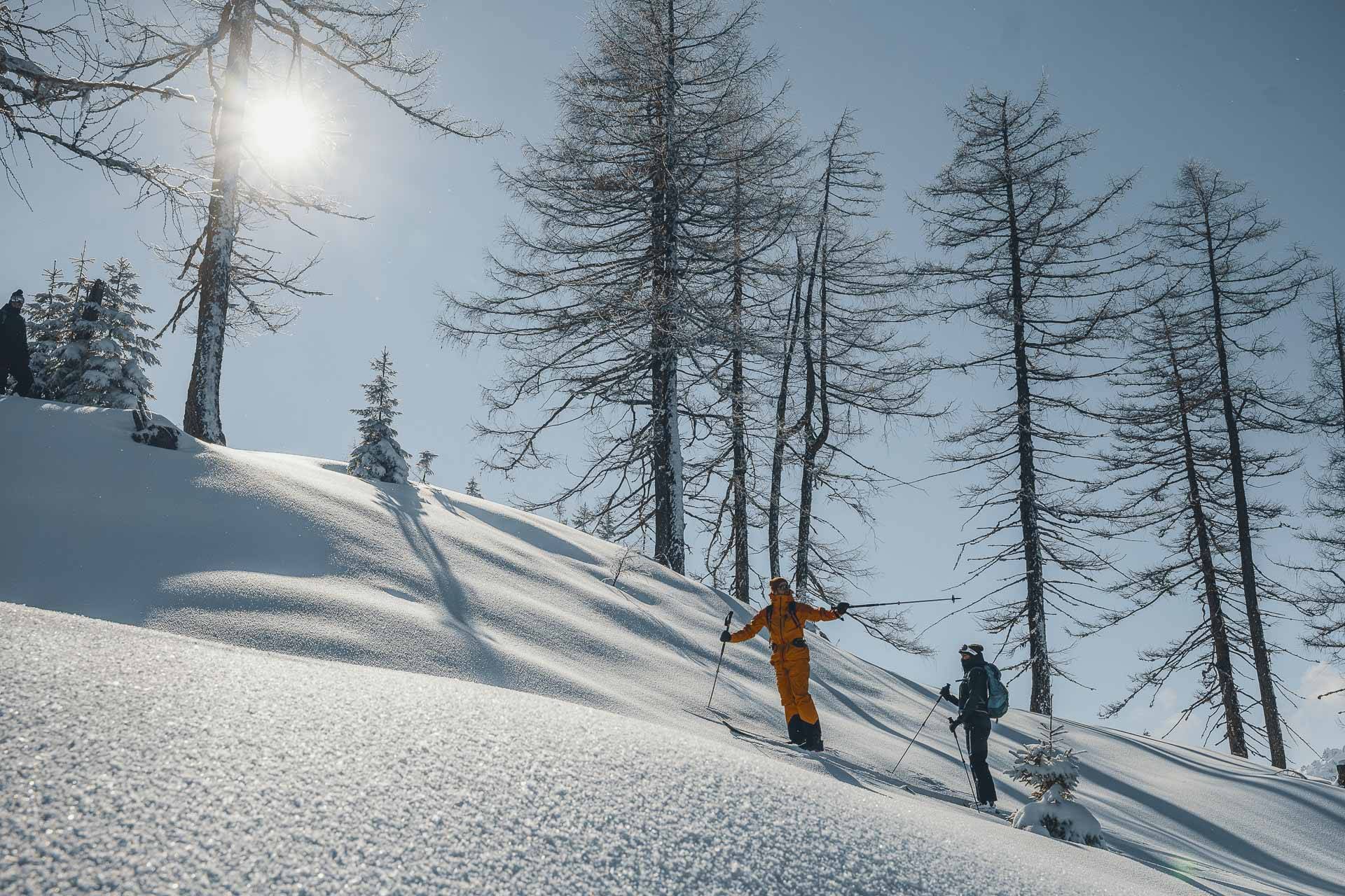 Skitour-Aufstieg im Wald